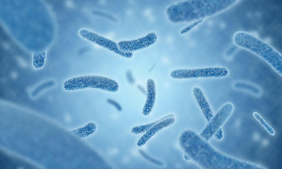Close Up Of 3d Illustration Microscopic Blue Of Legionella Pneum