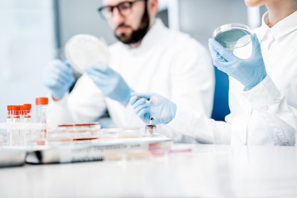 Laboratory assistants in the bacteriological department