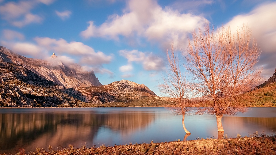 Puig Major And Cuber Reservoir With Trees In The Water, Sunny Da
