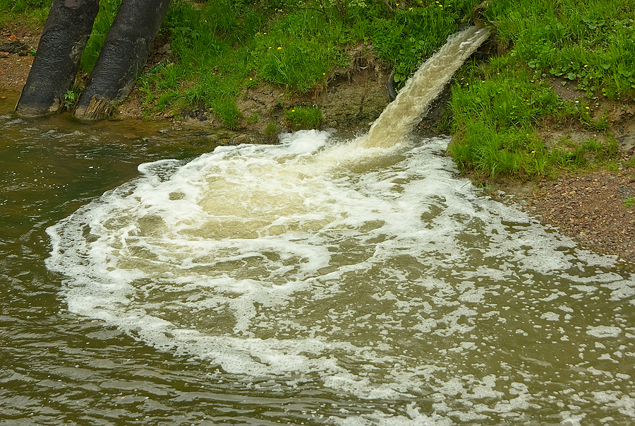 Ecological Evil Deed