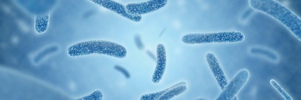 Close Up Of 3d Illustration Microscopic Blue Of Legionella Pneum