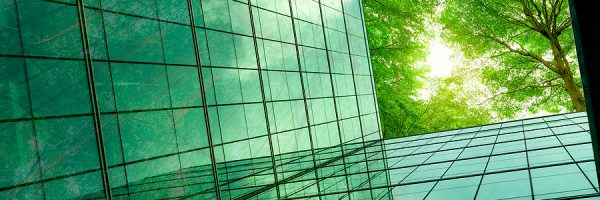 Eco friendly Building In The Modern City. Green Tree Branches Wi